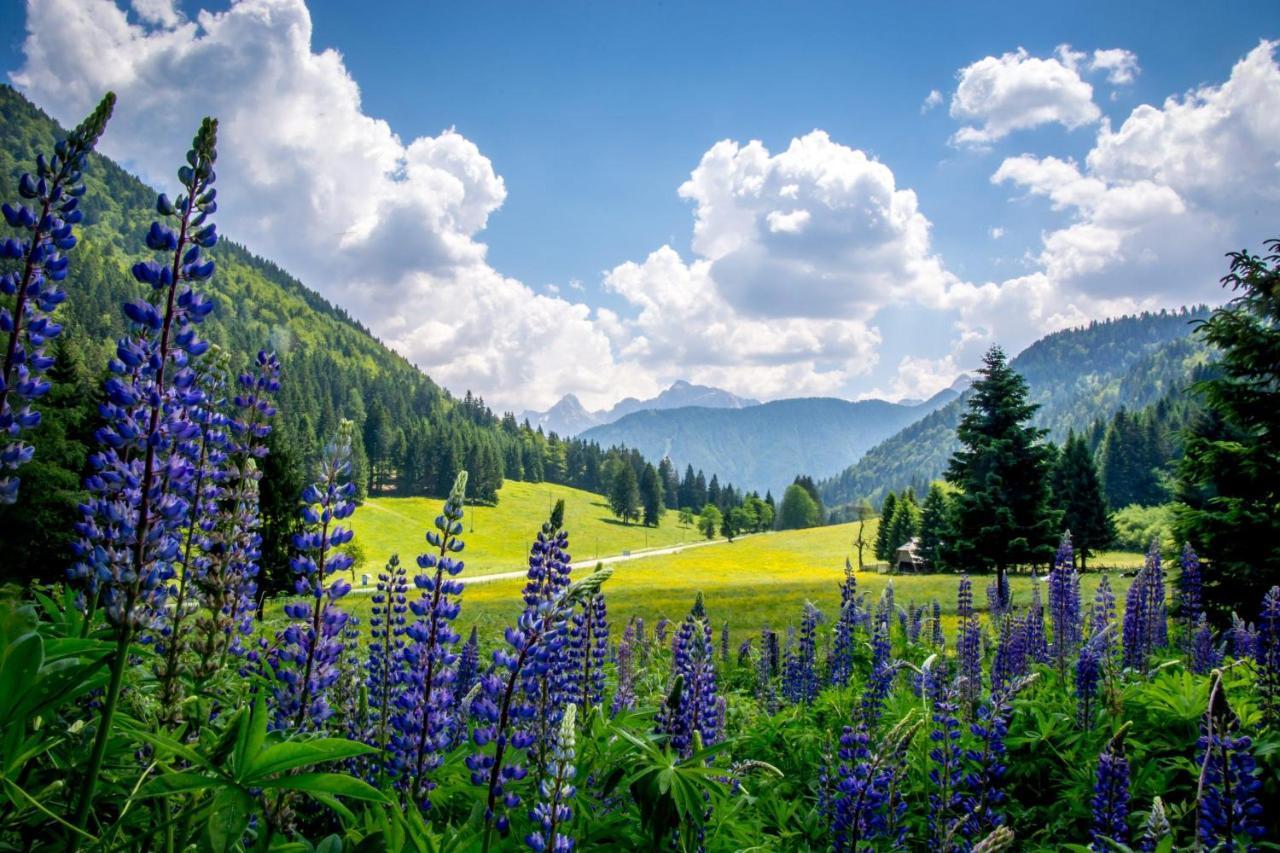 Hisa Grilc Apartamento Kranjska Gora Exterior foto
